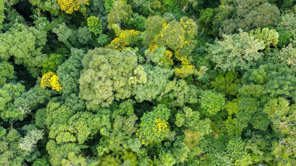 Panneau solaire photovoltaïque : des services écoresponsables recommandés